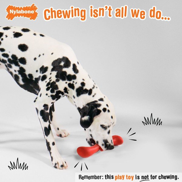 Show full view: Nylabone Creative Play Stik-GO Interactive Dog Toy slide 3 of 10