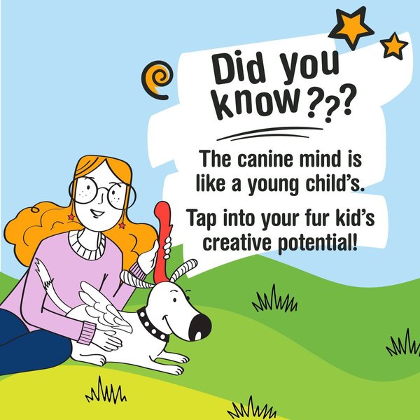 Show full view: Nylabone Creative Play Stik-GO Interactive Dog Toy slide 6 of 10