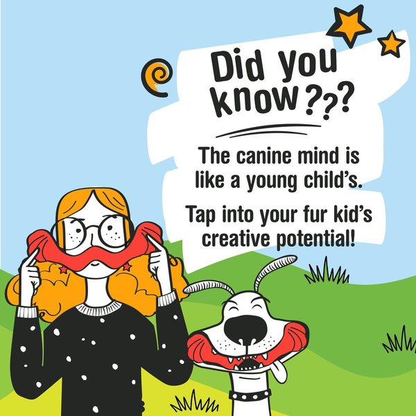 Show full view: Nylabone Creative Play Springa Interactive Dog Toy slide 6 of 10