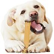 Show in main carousel: Nylabone Power Chew Peanut Butter Flavored Durable Chew Dog Toy, Large slide 2 of 12