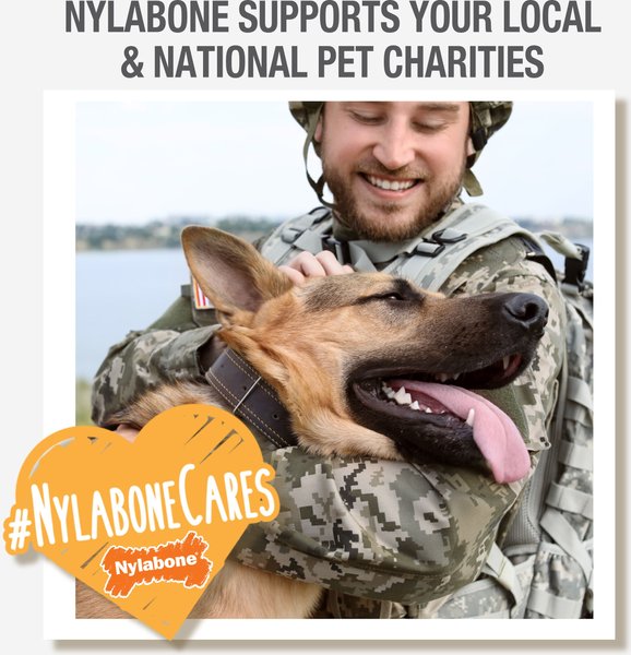 Show full view: Nylabone Power Chew Peanut Butter Flavored Durable Chew Dog Toy, Large slide 9 of 12