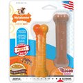 Nylabone Puppy Power Twin Pack Bone Variety Tough Chew Dog Toy, 2 count