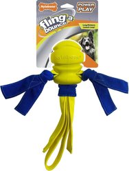 Nylabone Power Play Fling-a-Bounce Ball Dog Toy, Large