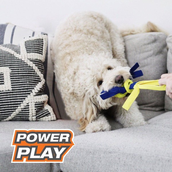 Show full view: Nylabone Power Play Fling-a-Bounce Ball Dog Toy, Large slide 4 of 10