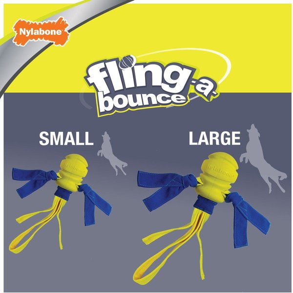 Show full view: Nylabone Power Play Fling-a-Bounce Ball Dog Toy, Large slide 5 of 10