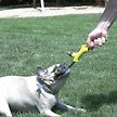 Show in main carousel: Nylabone Power Play Shake-a-Toss Rope Dog Toy, Small slide 8 of 10