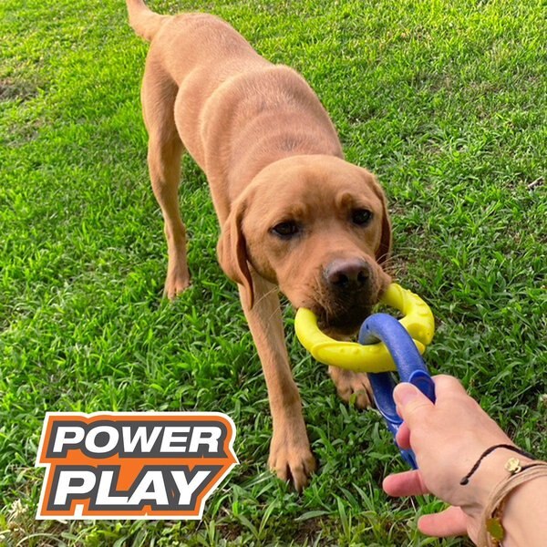 Show full view: Nylabone Power Play Tug-a-Ball All-in-1 Tug & Ball Dog Toy slide 4 of 8
