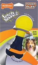 Nylabone Power Play Fetch-a-Bounce Dog Toy