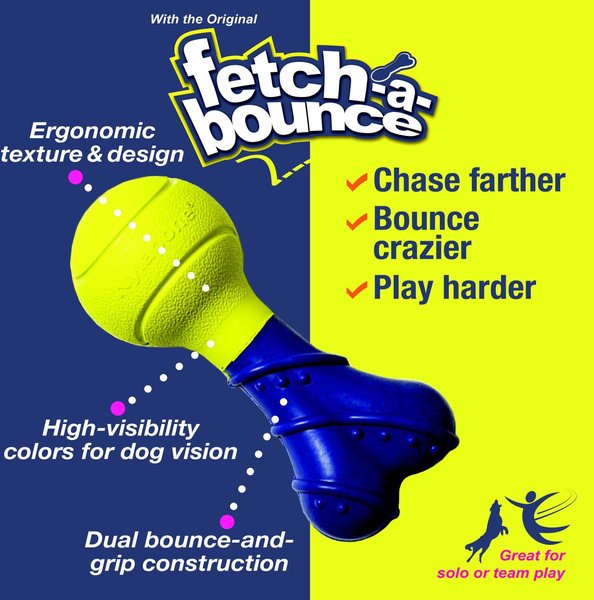 Show full view: Nylabone Power Play Fetch-a-Bounce Dog Toy slide 3 of 11