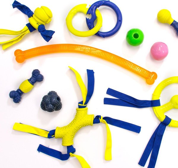 Show full view: Nylabone Power Play Fetch-a-Bounce Dog Toy slide 9 of 11