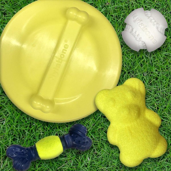 Show full view: Nylabone Power Play Dog Baseball Gripz Dog Toy slide 6 of 9