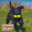Show in main carousel: Nylabone Power Play Tennis Teddy Gripz Bear Dog Toy slide 5 of 8