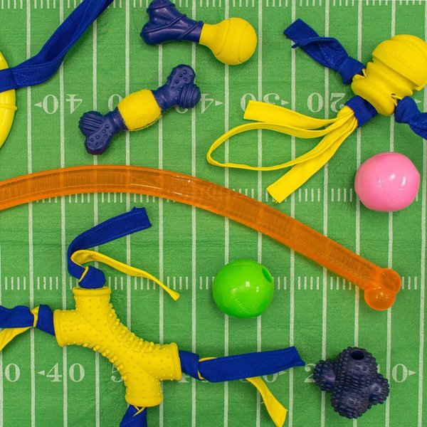Show full view: Nylabone Power Play Tennis Play 'n Fetch Interactive Dog Toy slide 3 of 8