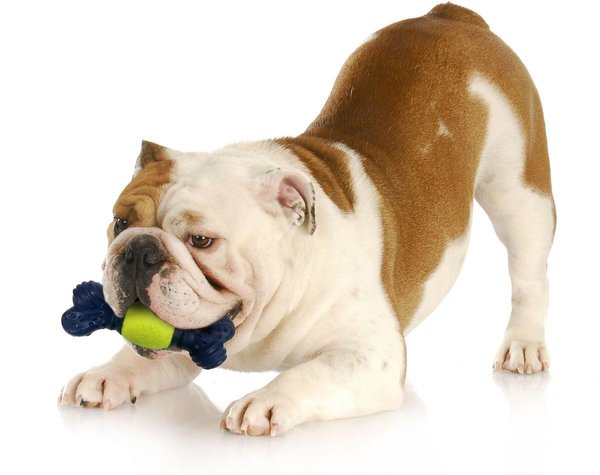 Show full view: Nylabone Power Play Tennis Play 'n Fetch Interactive Dog Toy slide 6 of 8