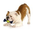 Show in main carousel: Nylabone Power Play Tennis Play 'n Fetch Interactive Dog Toy slide 6 of 8