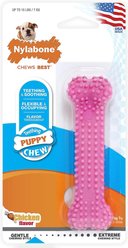 Nylabone Puppy Petite Dental Puppy Chew Dog Toy