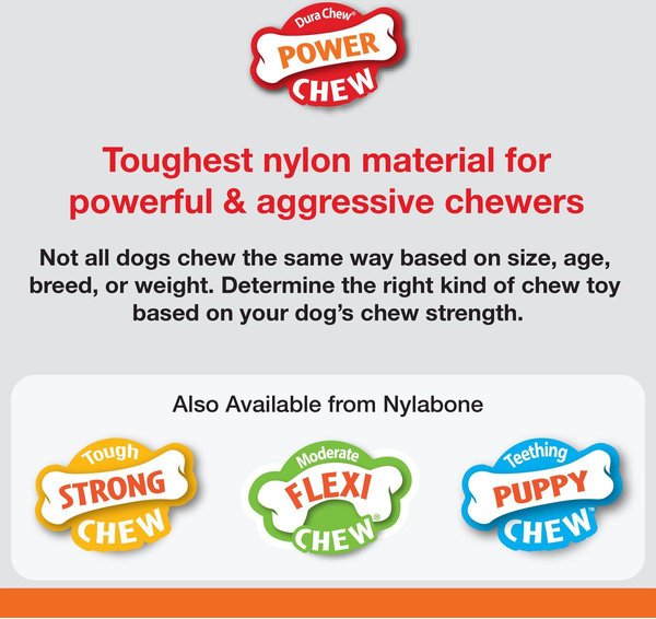 Show full view: Nylabone Power Chew Marrow Bone Alternative Chew Dog Toy slide 4 of 10