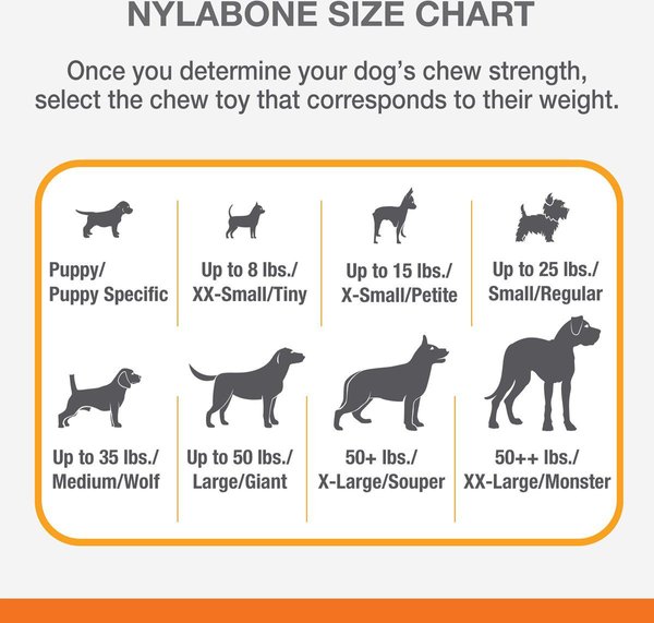 Show full view: Nylabone Power Chew Marrow Bone Alternative Chew Dog Toy slide 5 of 10