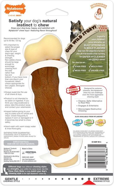 Show full view: Nylabone Power Chew Marrow Bone Alternative Chew Dog Toy slide 7 of 10