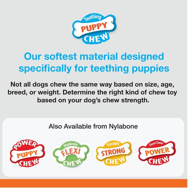 Show full view: Nylabone Puppy Chew Chicken Flavored Chew Dog Toy slide 3 of 11