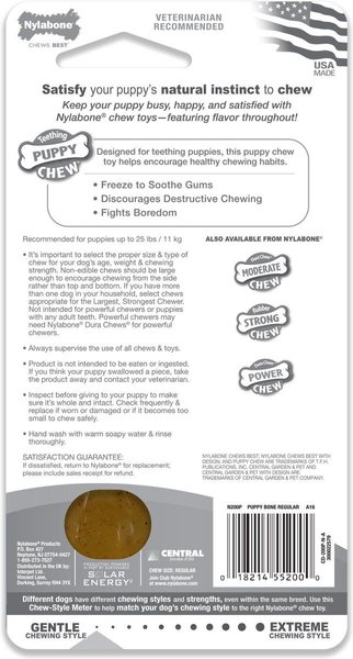 Show full view: Nylabone Puppy Chew Chicken Flavored Chew Dog Toy slide 6 of 11