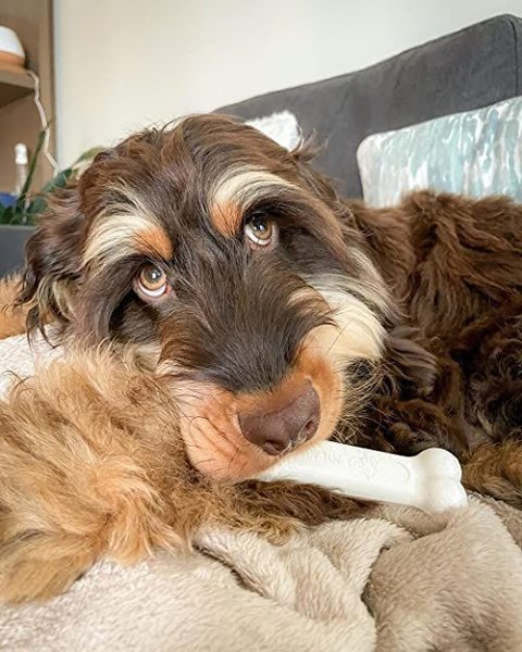 Show full view: Nylabone Power Chew Chicken Flavored Durable Chew Dog Toy, Large slide 3 of 11