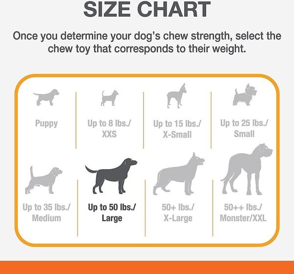 Show full view: Nylabone Power Chew Chicken Flavored Durable Chew Dog Toy, Large slide 4 of 11