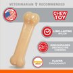 Show in main carousel: Nylabone Power Chew Original Flavored Durable Chew Dog Toy, Small slide 2 of 11