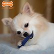 Show in main carousel: Nylabone Moderate Chew FlexiChew Chicken Flavor Dental Chew Dog Toy, X-Small slide 2 of 10