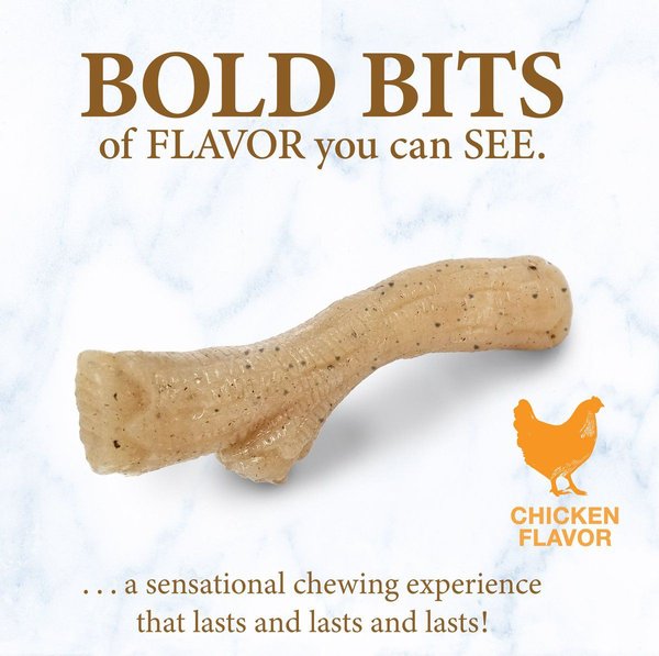 Show full view: Nylabone Puppy Gourmet Style Strong Chicken Flavor Chew Dog Toy slide 3 of 9