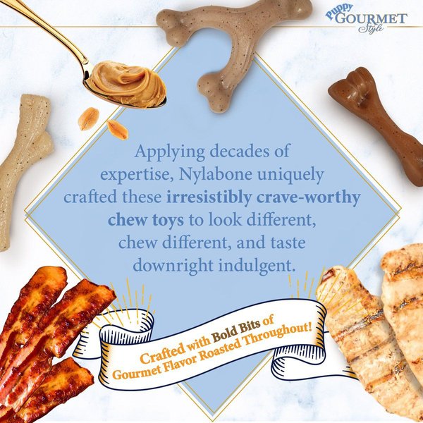 Show full view: Nylabone Puppy Gourmet Style Strong Chicken Flavor Chew Dog Toy slide 5 of 9
