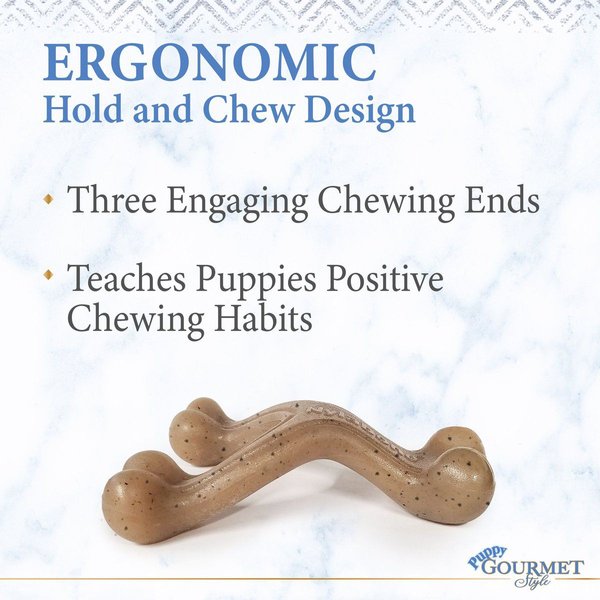 Show full view: Nylabone Puppy Gourmet Style Strong Chew Wishbone Peanut Butter Dog Toy slide 4 of 10
