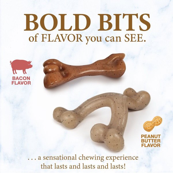 Show full view: Nylabone Puppy Gourmet Style Strong Bacon & Peanut Butter Flavor Dog Chew Toy, 2 count slide 3 of 9
