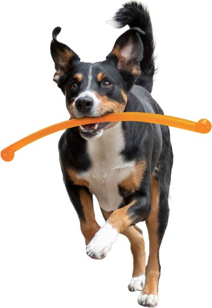 Show full view: Nylabone Power Play Crazy Stick Dog Toy slide 8 of 9