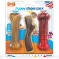 Nylabone Puppy Chew Stages Triple Chew Dog Toy, 3 count