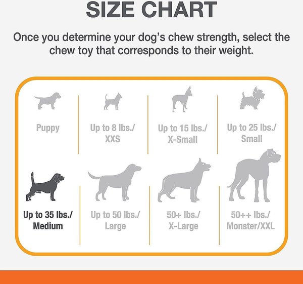 Show full view: Nylabone Puppy Chew Stages Triple Chew Dog Toy, 3 count slide 4 of 7