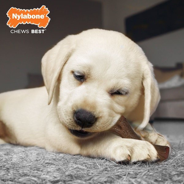 Show full view: Nylabone Puppy Chew Stages Triple Chew Dog Toy, 3 count slide 7 of 7