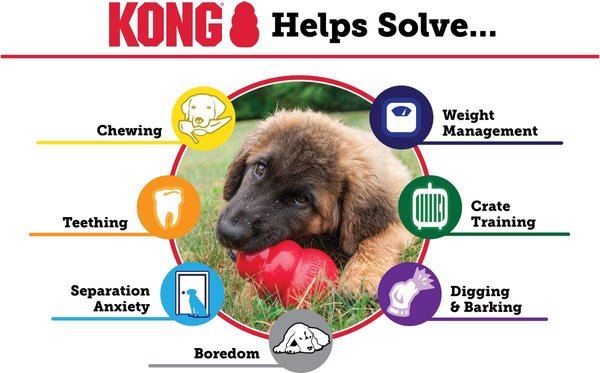 Show full view: KONG Classic Dog Toy, Medium slide 5 of 7