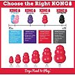 Show in main carousel: KONG Classic Dog Toy, X-Large slide 4 of 7