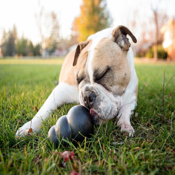 Show full view: KONG Extreme Dog Toy, Medium slide 6 of 9