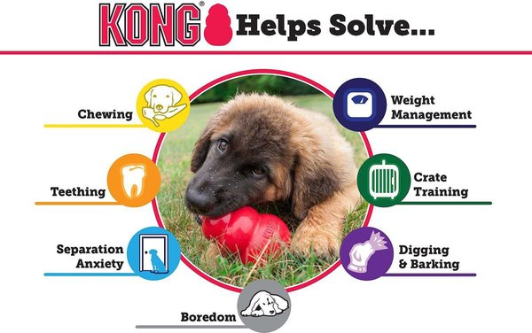 Show full view: KONG Senior Dog Toy, Medium slide 5 of 8