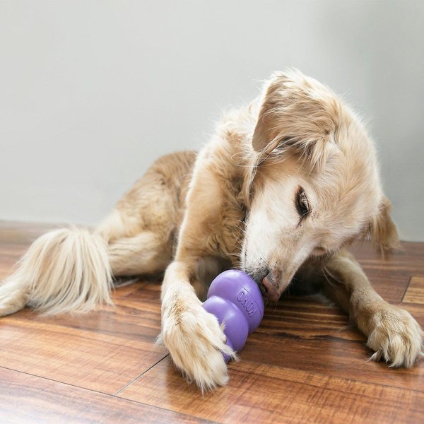 Show full view: KONG Senior Dog Toy, Medium slide 6 of 8