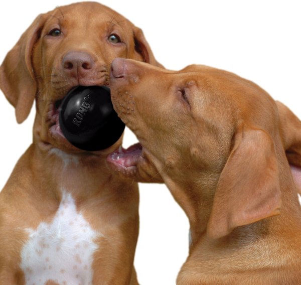 Show full view: KONG Extreme Ball Dog Toy, Medium/Large slide 3 of 4