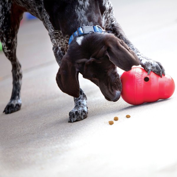 Show full view: KONG Wobbler Dog Toy, Small slide 3 of 4