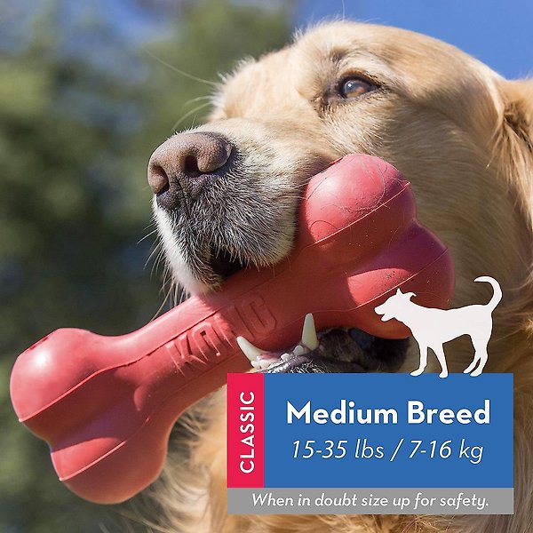 Show full view: KONG Classic Goodie Bone Dog Toy, Medium slide 3 of 5