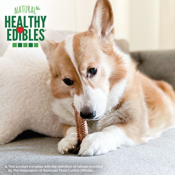 Show full view: Nylabone Healthy Edibles Meaty Center Beef Small Natural Dog Treats, 12 count slide 3 of 11
