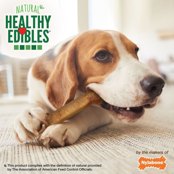 Show full view: Nylabone Healthy Edibles Natural Long Lasting Bacon Flavour Medium Chew Dog Treats, 12 count slide 4 of 9