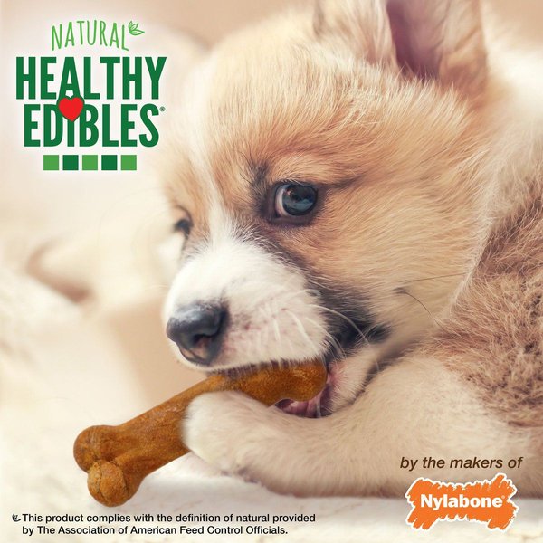 Show full view: Nylabone Healthy Edibles Puppy Turkey & Sweet Potato Flavour X-Small Bone Dog Treats, 16 count slide 6 of 9