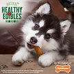 Show in main carousel: Nylabone Healthy Edibles Puppy Turkey & Sweet Potato Flavour Petite Bone Dog Treats, 8 count slide 7 of 10