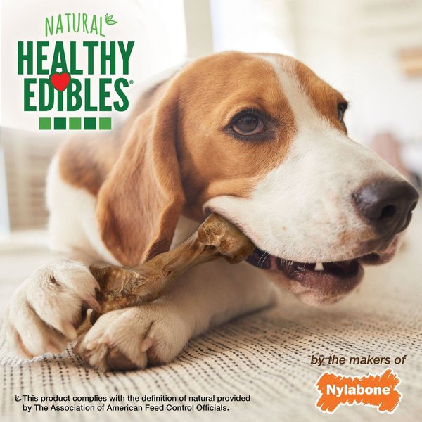 Show full view: Nylabone Healthy Edibles Wild Natural Long Lasting Bison Flavour Medium Chew Dog Treats, 2 count slide 6 of 12